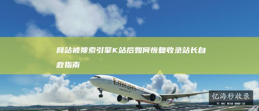 网站被搜索引擎K站后如何恢复收录站长自救指南