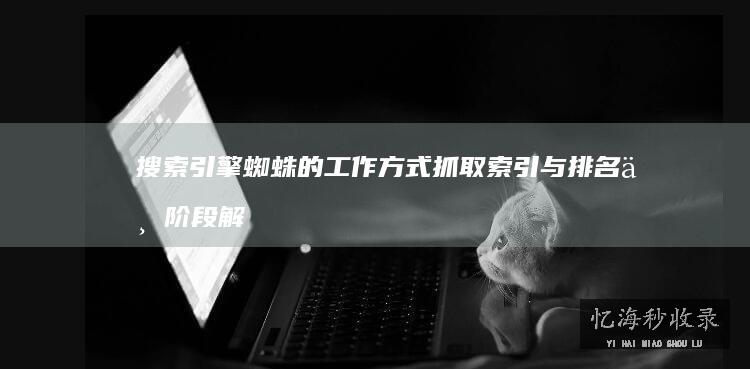 搜索引擎蜘蛛的工作方式抓取索引与排名三阶段解