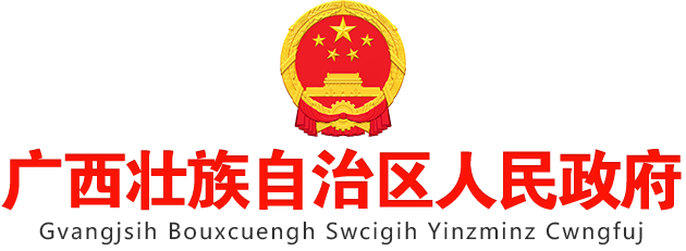 广西政府