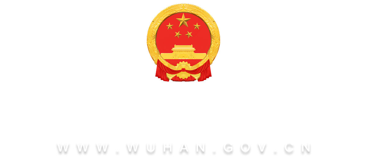 武汉市人民政府门户网站