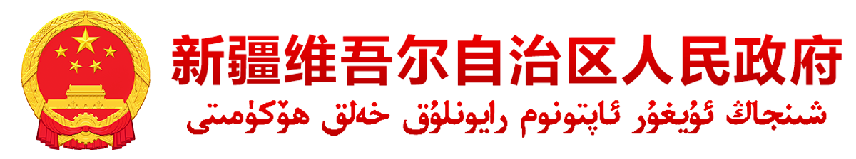 新疆政府